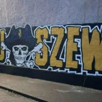 Rewolucja na drogach: 17-latkowie za kółkiem i koniec z piratowaniem poza miastem! 🚗