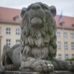 Hakerzy namieszali w szczecińskim szpitalu! 💻