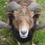 Koszalin znów zatańczy i poszybuje w górę! 💃