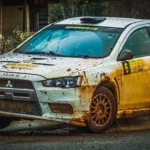 Ptasie randki przy karmniku w Szczecinie! 🐦