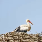 Wypalanie traw to nie SPA dla gleby! 🛑