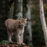 Mycie okien przegrywa z Bałtykiem! 🌊