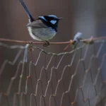 Ryk silników i… stado dzików na trasie! 🏎️