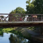 Bałtyk ma wielki apetyt, ale my mamy 65 milionów na obronę! 🌊