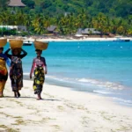 Dni Gryfina 2026 nadchodzą z wielką pompą! 🎡