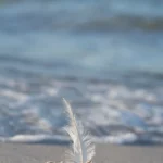 Goleniów rusza na ratunek swoim rzekom! 🌊