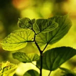 Wielkanoc nad morzem okazała się absolutnym hitem! 🌊