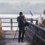 Dni Polic 2026: Znamy gwiazdy i plan imprezy! 🎤