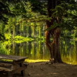 Pyrzyce będą miały nowoczesną bazę ratowników! 🚑