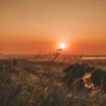 Bałtyk ma wielki apetyt, ale my mamy 65 milionów na obronę! 🌊