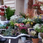 Szczecin przesiada się na dwa kółka! 🚲