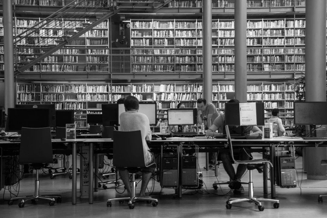 university