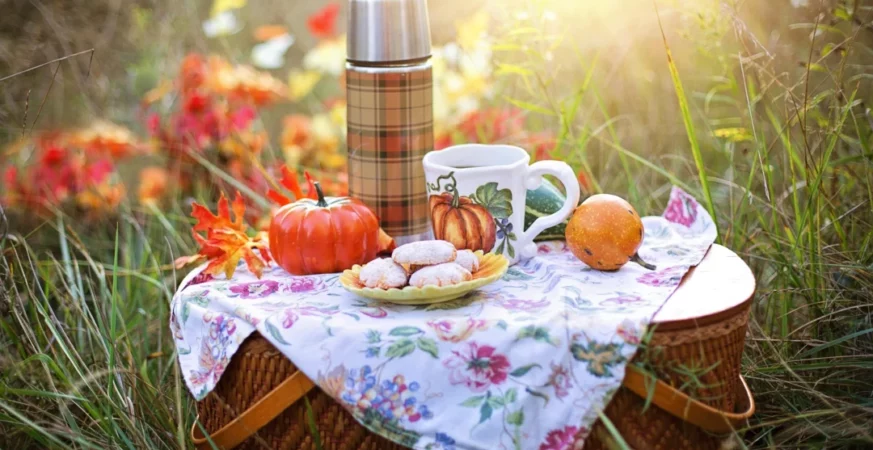 picnic