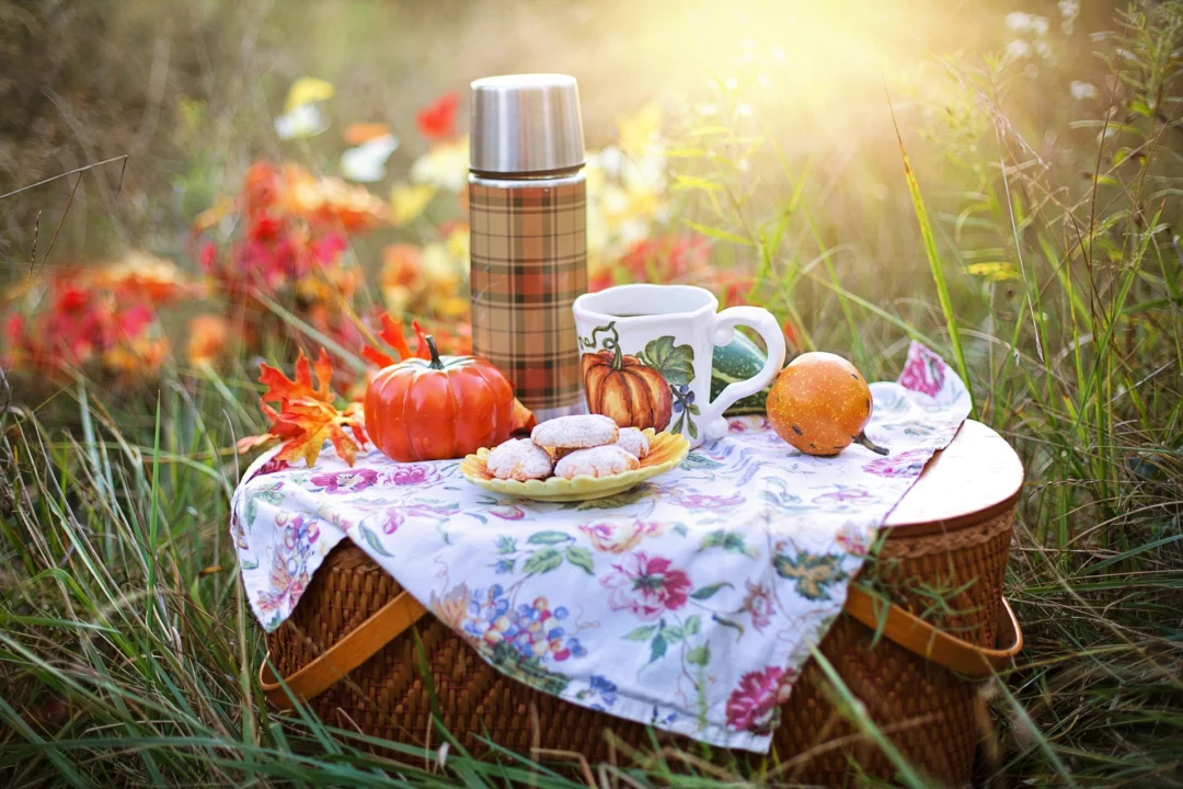 picnic