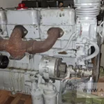 Strażak z radarem pilnuje prędkości przy szkole w podgoleniowskiej wsi! 👨‍🚒